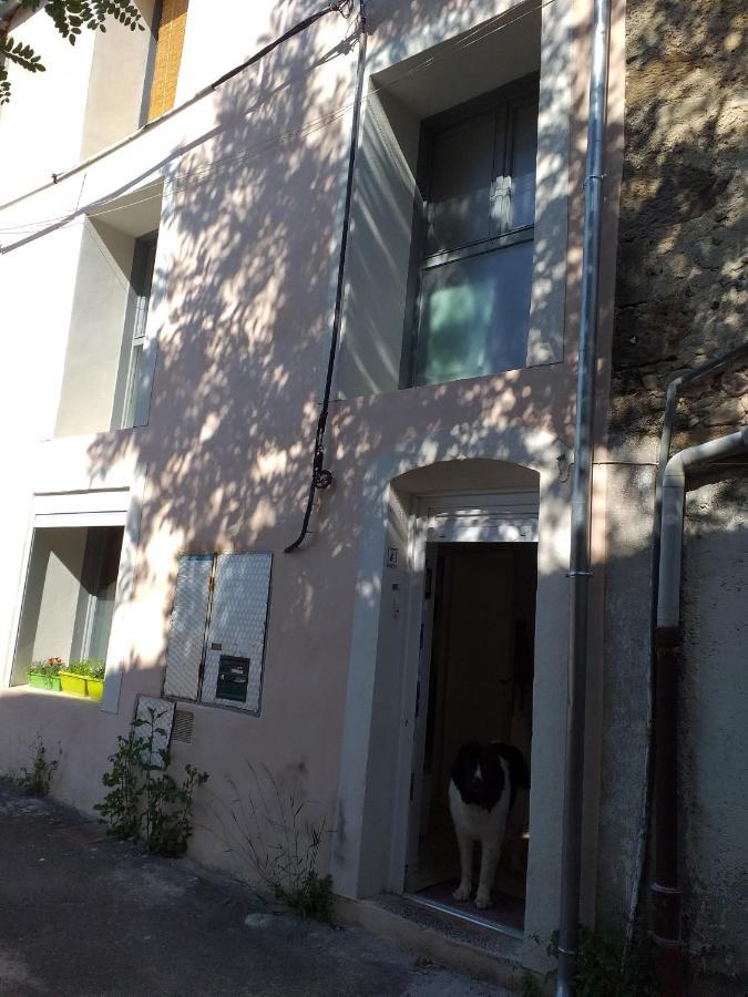 La Maison D Annick Apartment Lodève Екстериор снимка